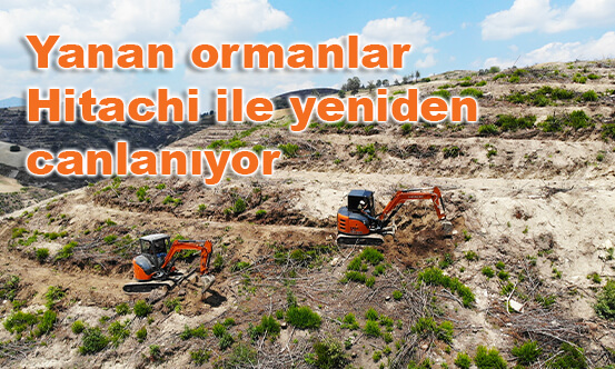 Yanan Ormanlar  Hitachi ile yeniden Canlanıyor